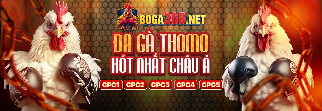 Quy trình đăng ký tài khoản FCB8 dễ dàng